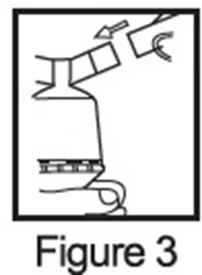 Figure 3 (Figure 3)
